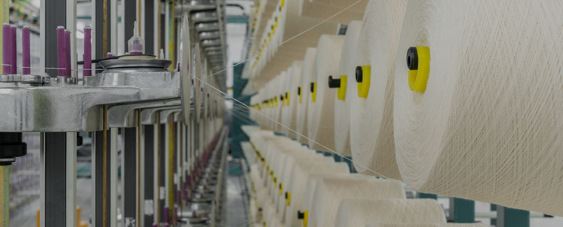 Sichuan MiFo Technology Co., Ltd.